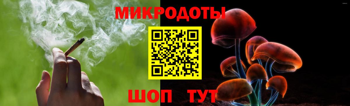 Псилоцибиновые грибы Psilocybe Нарткала